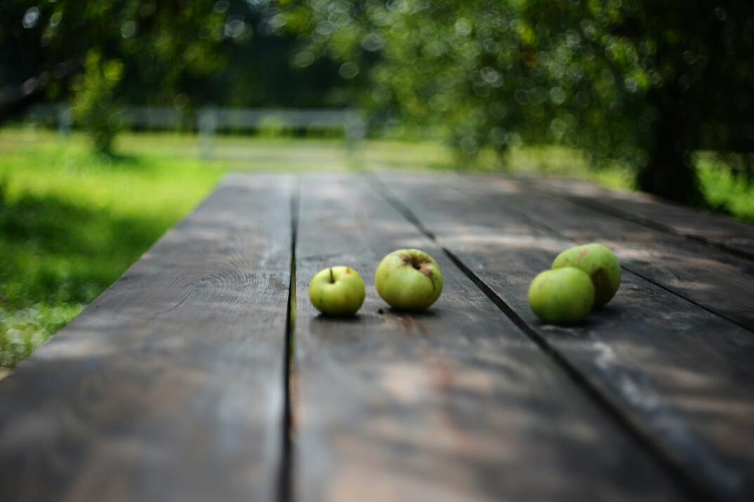 clues on wooden table