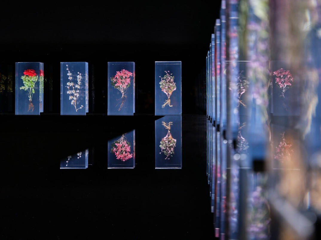luxury digital museum exhibit